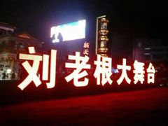-泰安刘老根大舞台