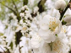 -中国移动(朝阳十里河营业厅)
