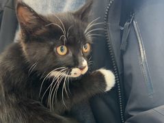 -芭比堂动物医院·CT·微创中心(新顺分院)