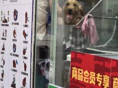 -它主义宠物(梁溪万达店)