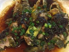 豆豉蒸黄骨鱼-东江海鲜酒家(艺都分店)