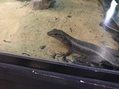 -北戴河圣蓝海洋公园