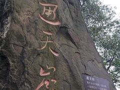 -南山植物园