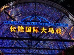 -广州长隆国际大马戏