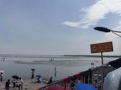 -奉贤海滩