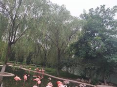 -石家庄市动物园