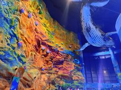 -青岛嘉年华主题乐园