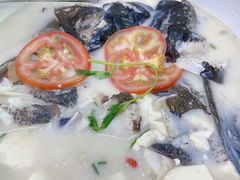 -全乐鱼馆·淳牌有机鱼直营店