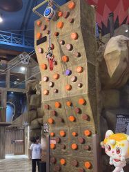 -卡通尼·Safari非洲探索乐园·生日会(金桥国际商业广场店)