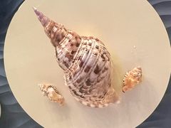 -中国（海南）南海博物馆
