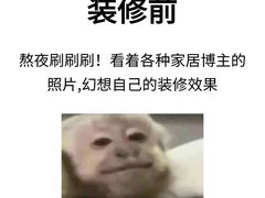 -聚通装潢(浦东旗舰店)