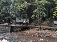 -五泄景区