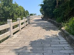 -北岐滩涂