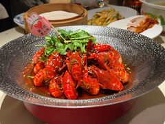 火爆麻辣小龙虾-悦融琥珀·京鲁菜·海味珍品(西单店)