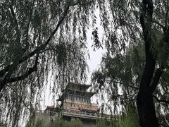 -解放阁