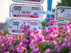 -南京国际青年文化中心