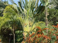 -深圳国际园林花卉博览园