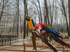 -北京野生动物园