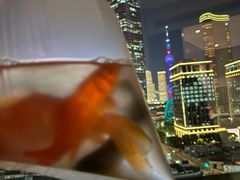 -曲阳花鸟市场(曲阳路店)