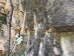 -陕西省红河谷森林公园
