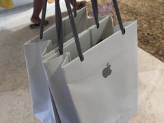 -Apple零售店(深圳益田假日广场店)