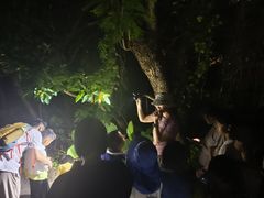-华侨城湿地公园
