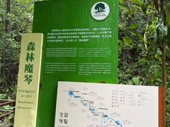 -莫里热带雨林景区