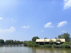 -西青郊野公园