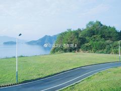 -千岛湖石林