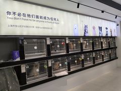 -翊宠yipet猫狗购宠庄园犬舍•猫舍