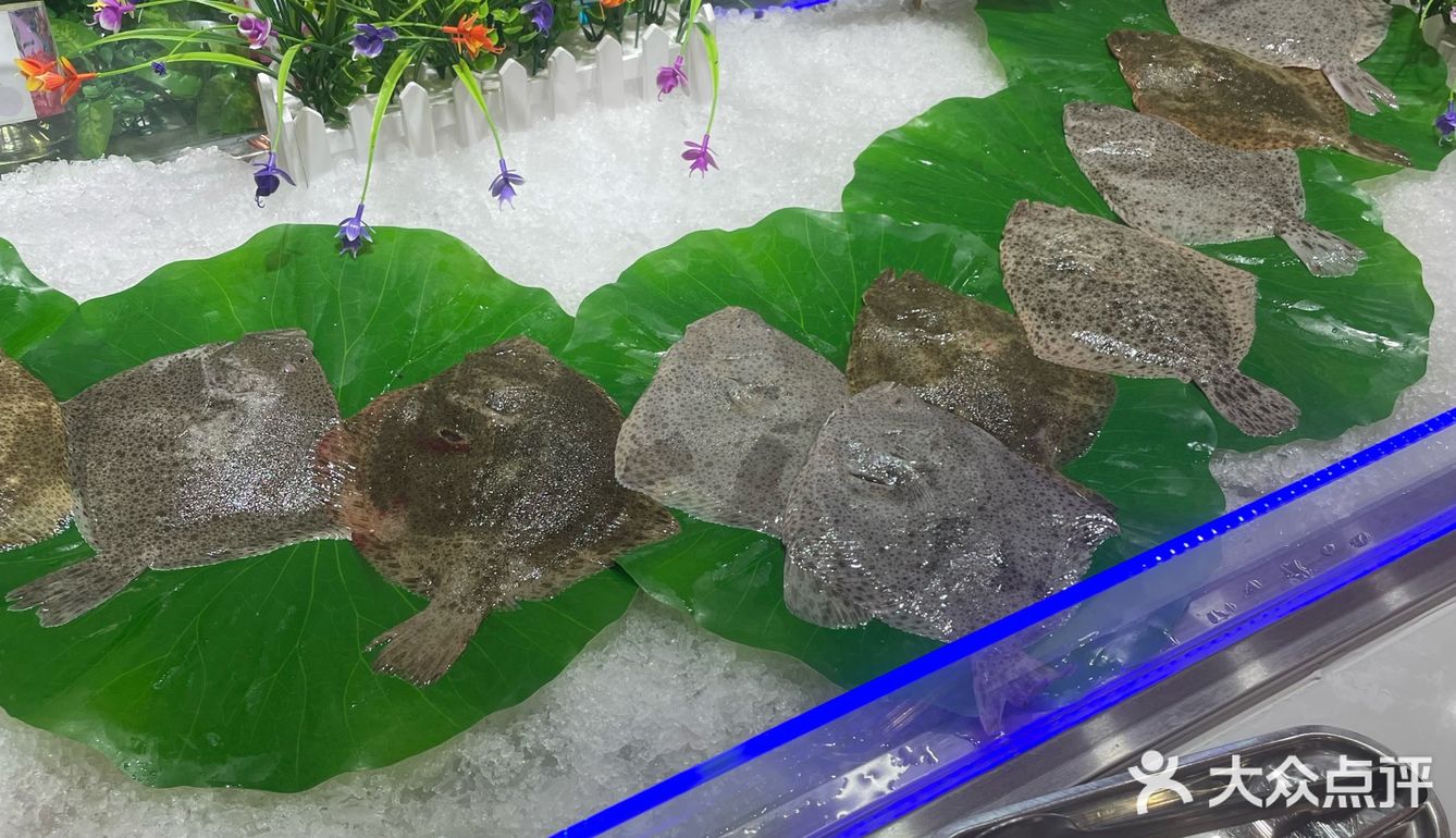 实探！北戴河大鱼海塘蒸汽海鲜自助餐厅