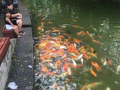 -珠海圆明新园