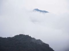 -沣峪口