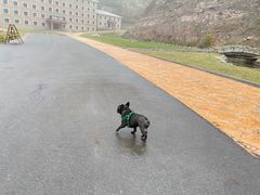 -红崖峡谷景区