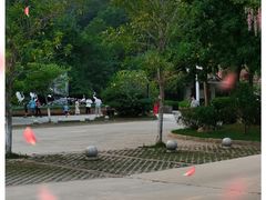 -广州白江湖森林公园