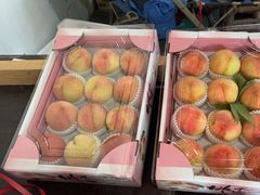 -南汇水蜜桃采摘(大团店)