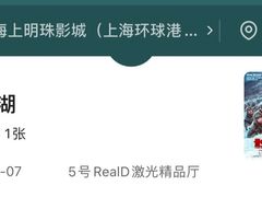 -AMG海上明珠影城(上海环球港RealDCinema店)