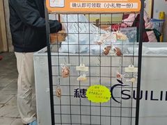 -鼎香皇高佬苏裹蒸粽