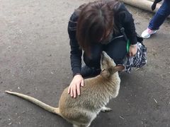 -费瑟代尔野生动物园