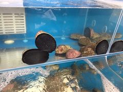 -同乐酒楼(皇后镇店)