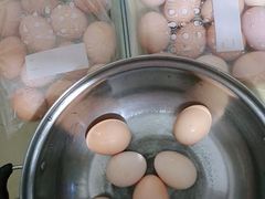 -马陆小张葡萄园农家乐