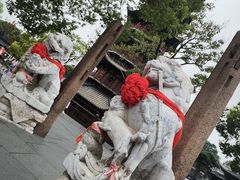 -龙华素斋(龙华路店)