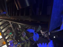 -绿茶餐厅(燕郊永旺店)