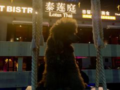 -Local泰莲庭(虹鳟鱼店)