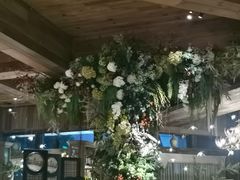 -一棵树·意大利西餐厅One Tree(新城店)