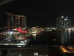 -新加坡文华东方酒店