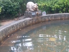 -西安国际创新人才交流中心•药浴温泉