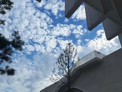 -中国宣纸文化园