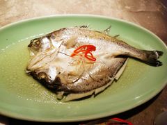 葱油鲈鱼-新白鹿餐厅(金鹰新街口店)