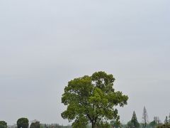 -良渚古城遗址公园